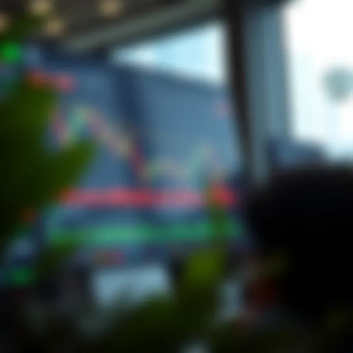 User interface of a beginner-friendly trading platform displaying charts and trading options